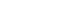 Security Services Nederland